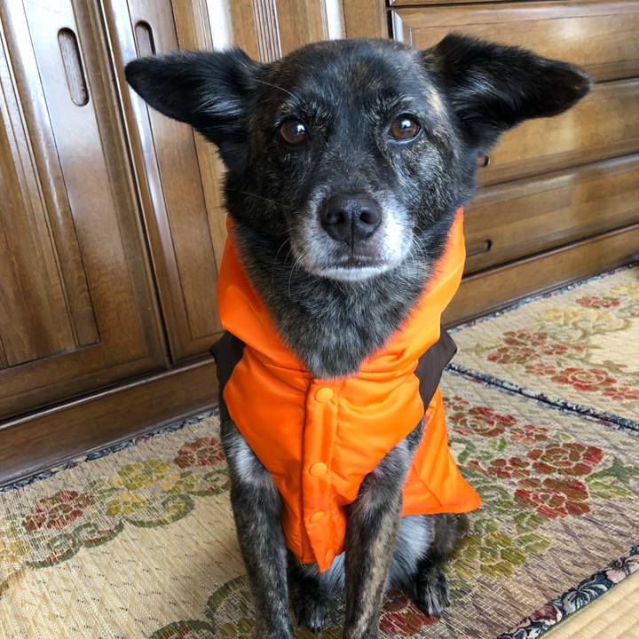 0b0b1d12 6c74 4750 ab84 ff898abbcbc5 1562550401019