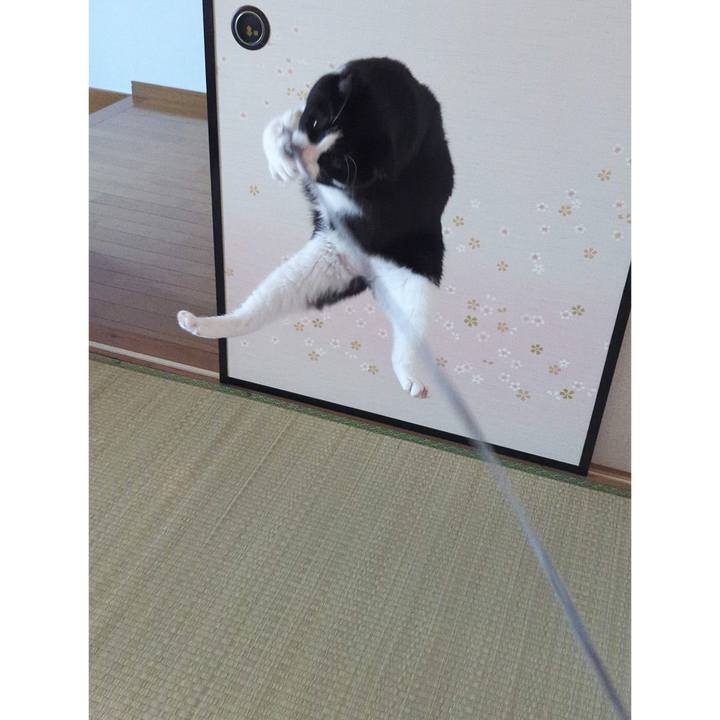 0b0b206e e96e 4f41 b0b4 2231dc894c24 1692677305308