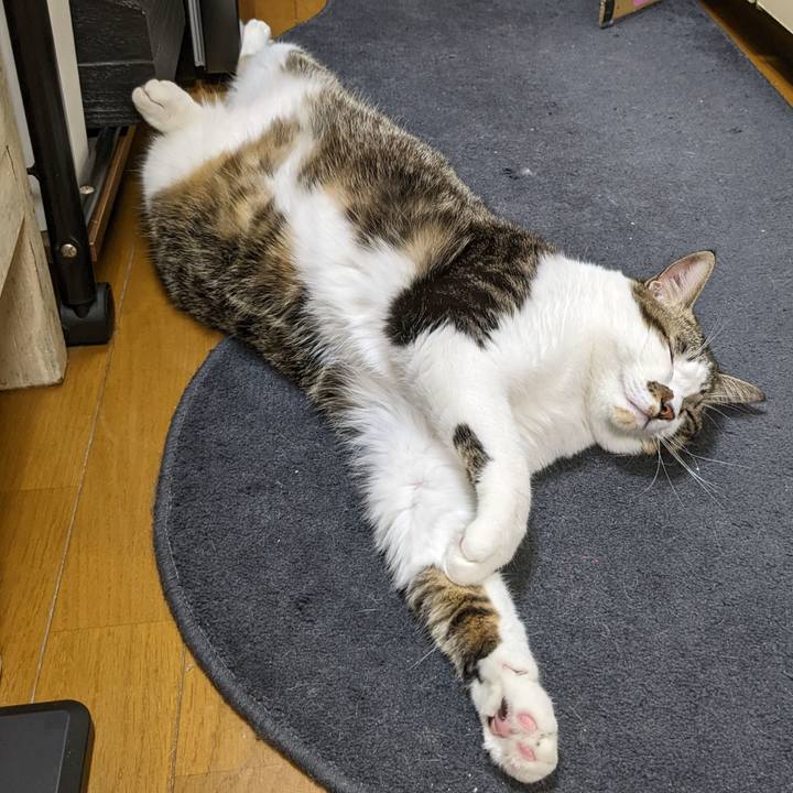 0b0b3bab a0f8 405c ba74 9a32c23b6798 1669035663910