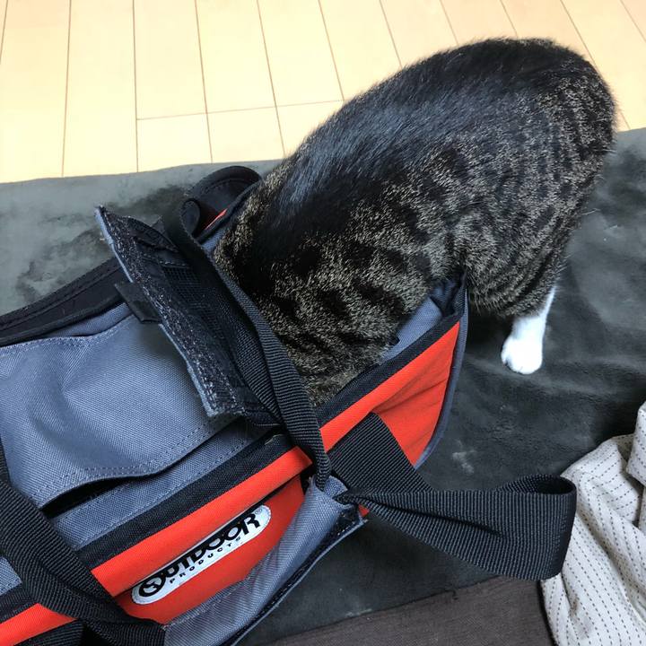 0b0b8b32 b50e 45f1 b940 49ca8295f59f 1520311012292