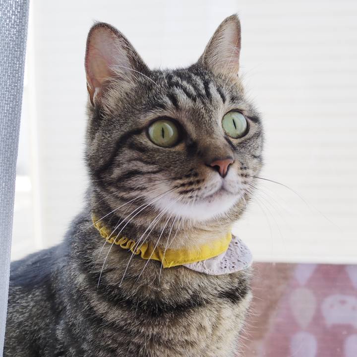 0b0b8cd6 0540 4ad2 aafd 9faa481c6f07 1691465744271