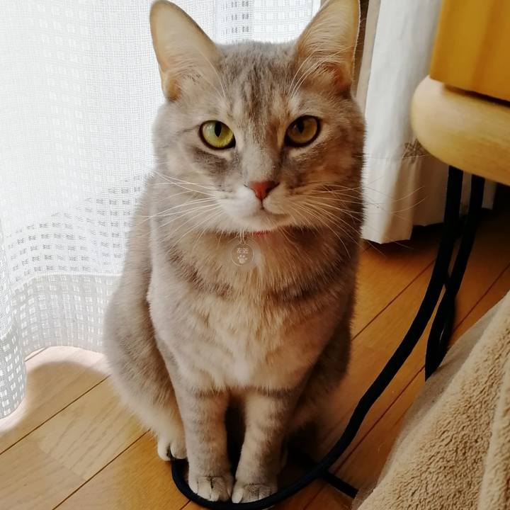 0b0b96aa 928d 4d82 aeae 73c569517a5b 1546588453564