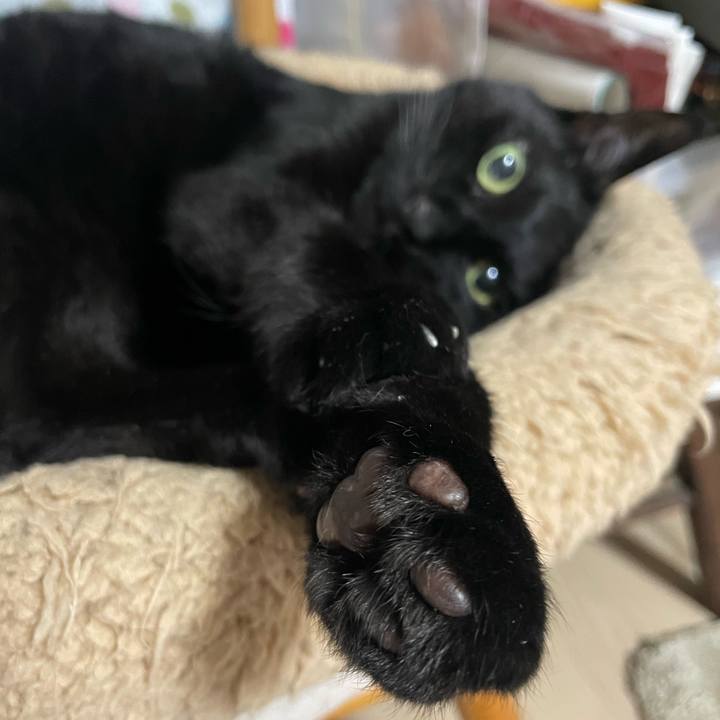 0b0bb83d 943d 40c5 b107 4db07bce20b0 1745923345317