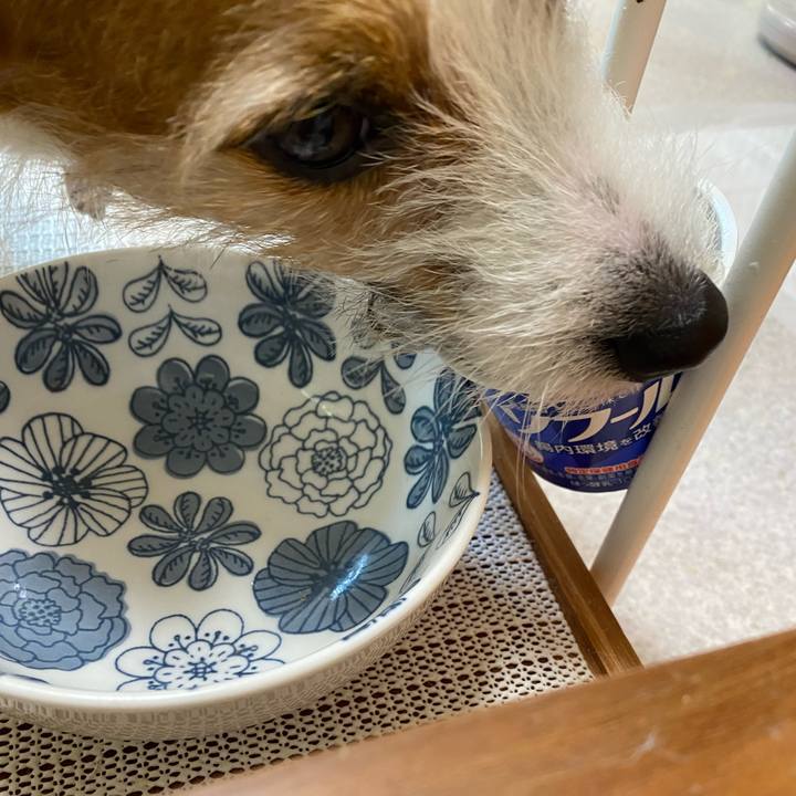 0b0bb9de ed77 4d38 b844 975129ab4905 1741956508827