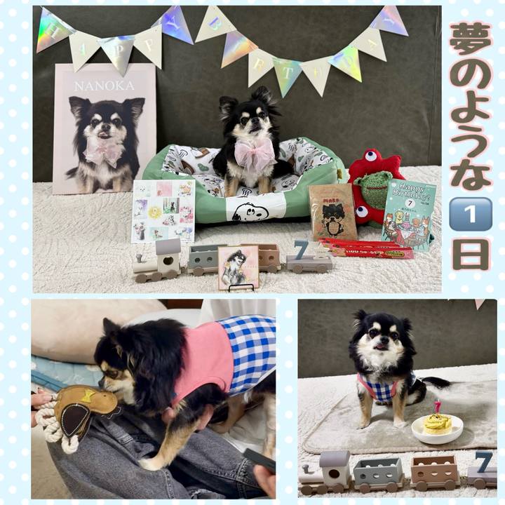 0b0bdc9b 9d23 45f7 b4c3 17c83d98e936 1749423815640