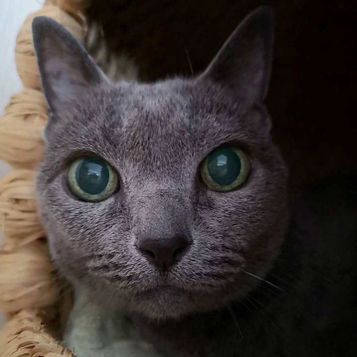 0b0be1e2 cccc 4d8d a35d 3e8d536d9ef1 1571699074048