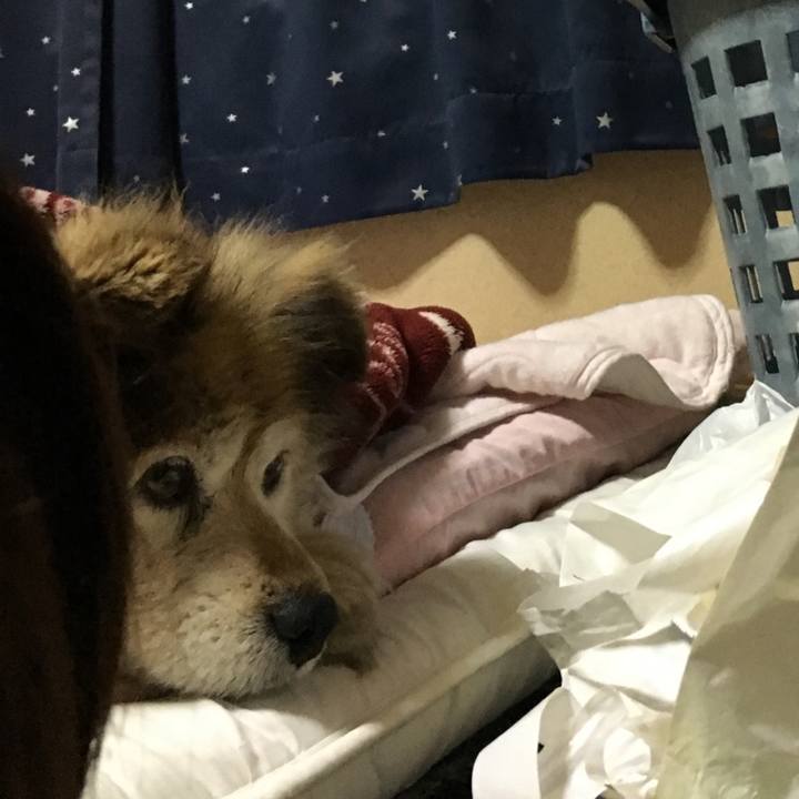 0b0bff41 0024 4e37 8190 afcd6662bdeb 1651850257535