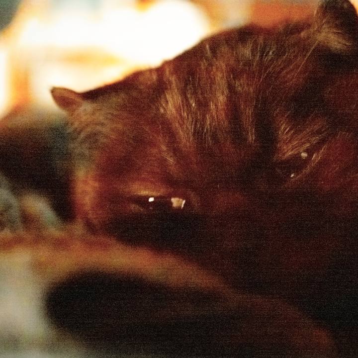 0b0c3ee3 e1c1 416e a025 0cbfc654ec17 1639742697560