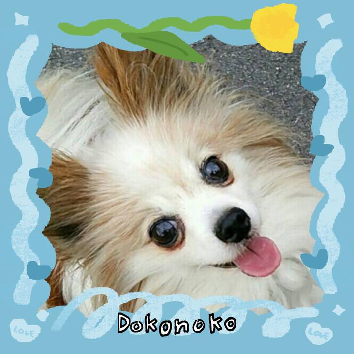 0b0c433f 79d3 4fe4 b070 b418af4f7d9b 1772501804688