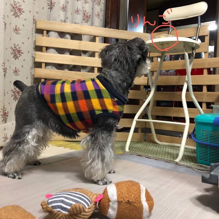 0b0c50f7 2a3d 4210 9e72 470197f58d26 1644229913885