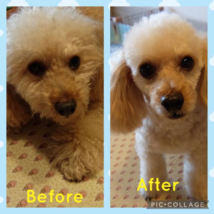 0b0c682c 125d 4a27 9370 f67166d91852 1634971001886