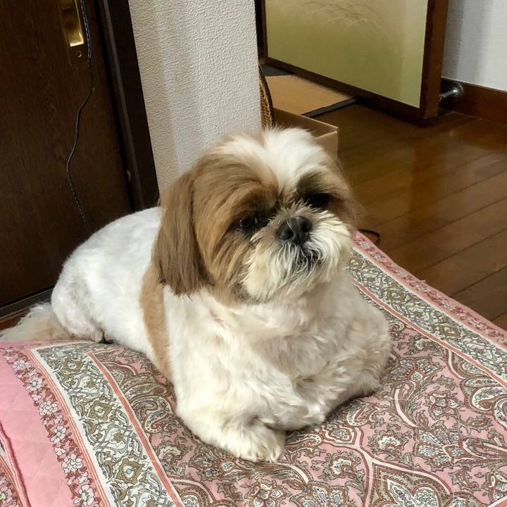 0b0c9ce6 eebd 4800 9eb7 f8eec068d2ca 1527919068188