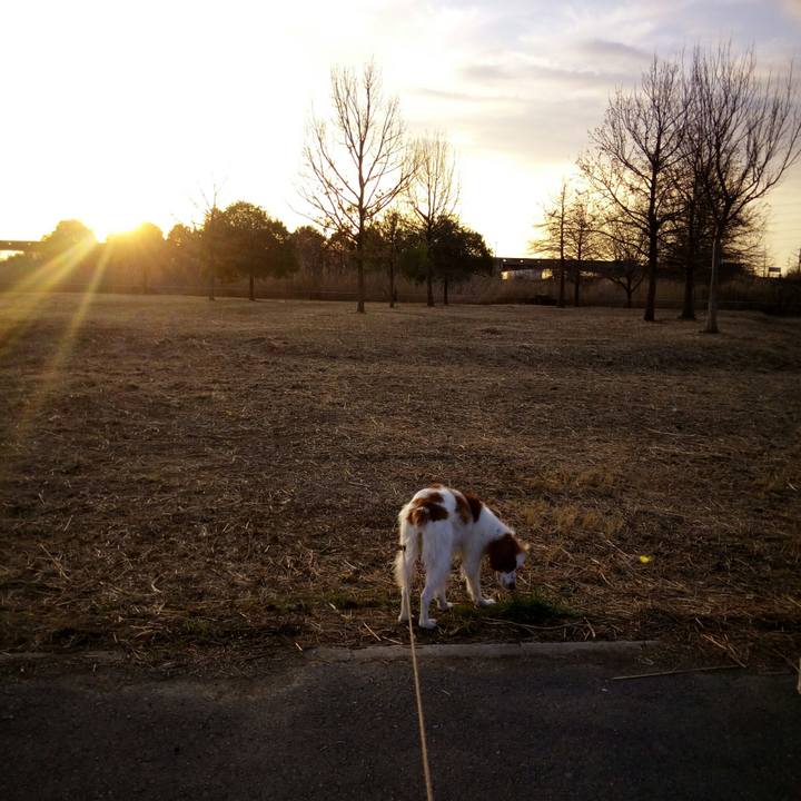 0b0cb8c0 00b0 45d0 aa21 d5078d8d18b9 1520165493449