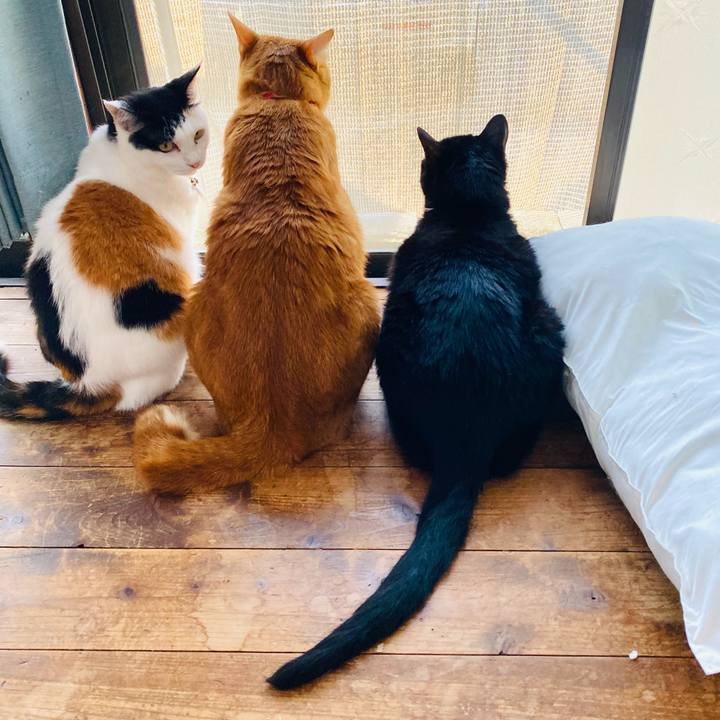 0b0cc9f7 e282 4940 9003 5a82a5fc7244 1750300841436