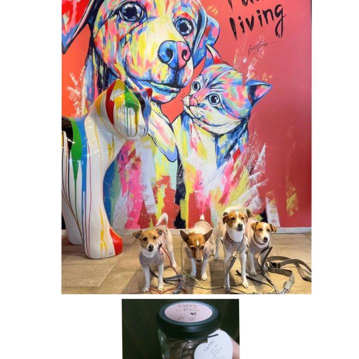 0b0cd653 07e5 4f51 90e2 a88729fde7be 1770889068524