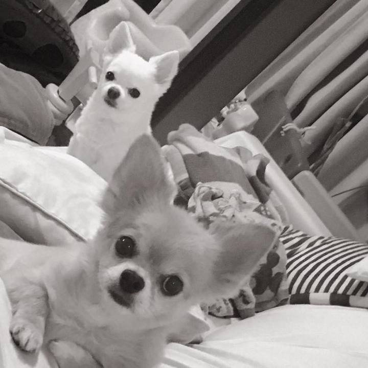 0b0d07e6 95a9 4966 a172 6fef96ca3601 1535583543803