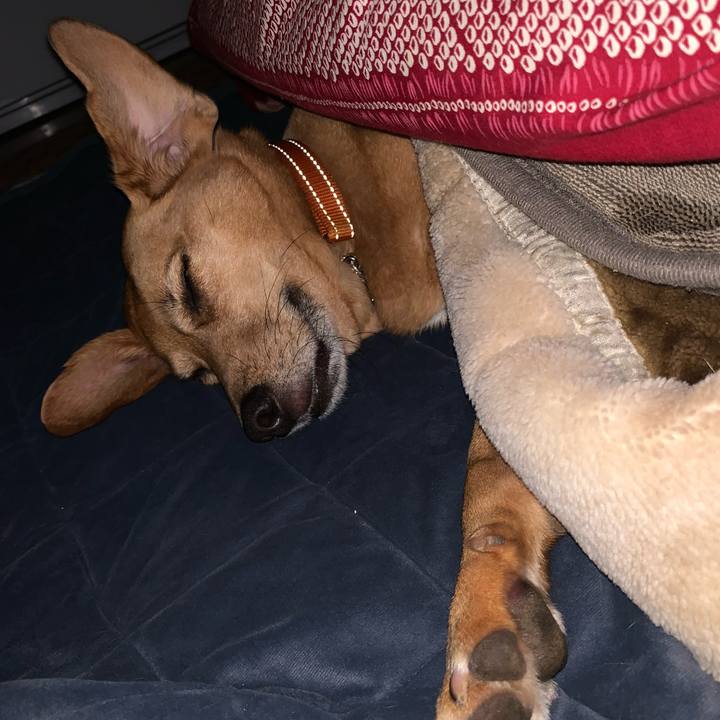 0b0d1cc4 706f 4cfa bd78 fbd28d3dd7f3 1574022104505