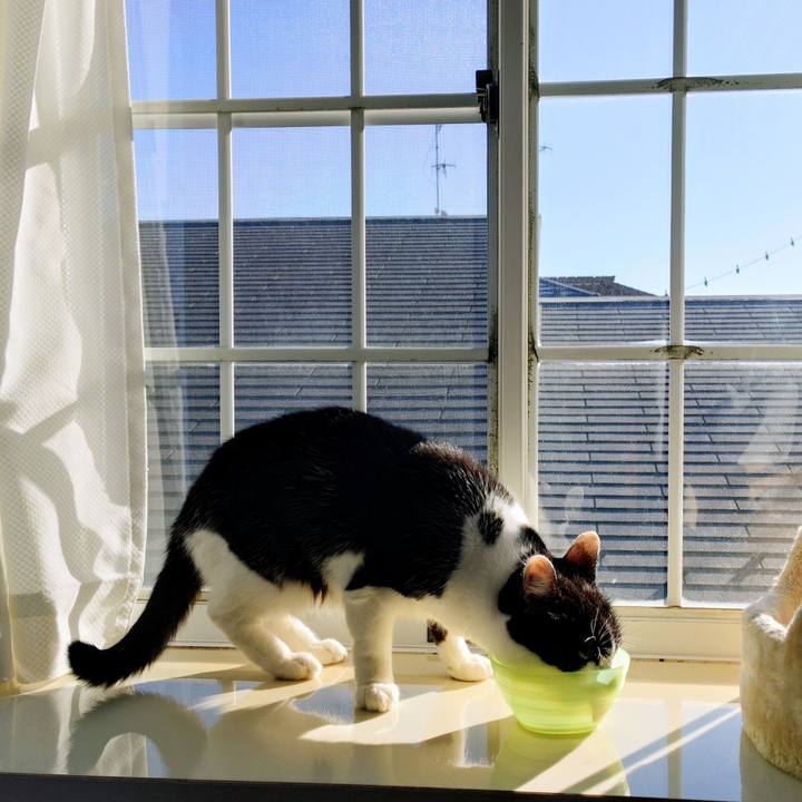 0b0d293d 7ec4 472a a413 71e8fb3a90f5 1768358768236