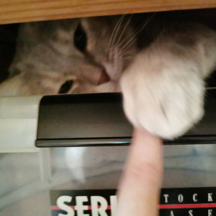 0b0d3e4a d8fa 4f09 8e17 31921605c552 1661919180924