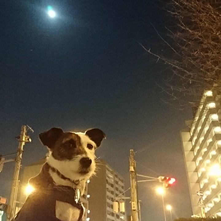 0b0d77fb cece 47b7 a3b1 c4ead6435e3c 1517400588735