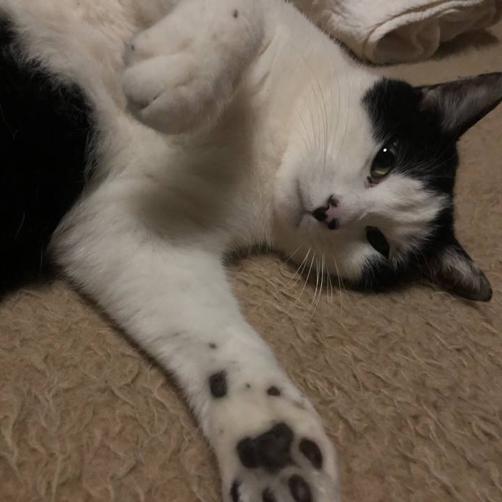 0b0da773 7d09 4166 bc44 599d15f98d1d 1612603792150