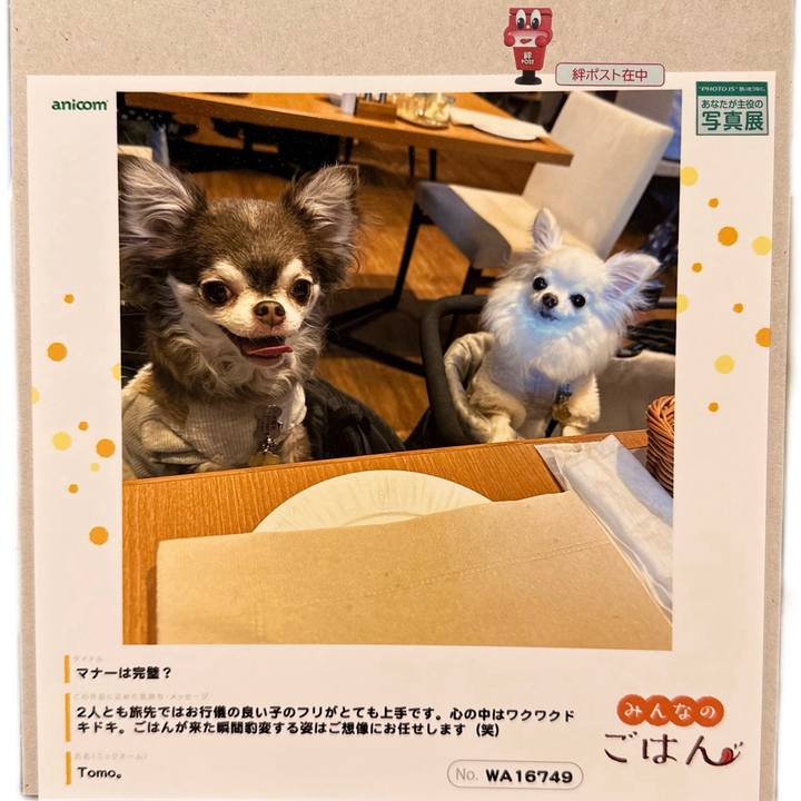 0b0dbc96 6fec 4780 b5b6 d590bda62f25 1696776051495