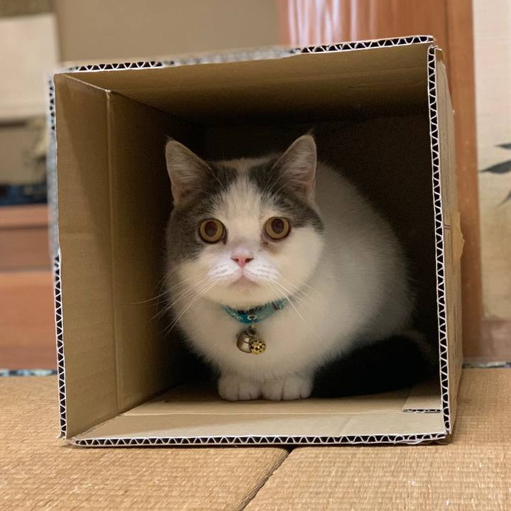 0b0ddd5e eedc 42e3 9534 a077c4976c7e 1645491011650