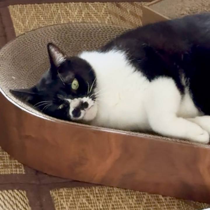 0b0de00d 7e43 45f9 b0a3 91bfd40fc579 1750031641590