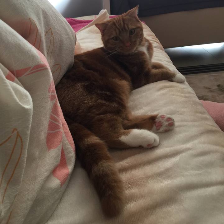 0b0e4f96 4757 422d b38c 06a165965a93 1511573357189