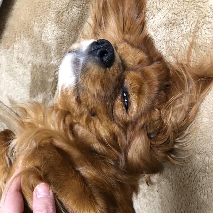 0b0e5d49 db7e 4cba 813d 01bb3cb0005f 1584449022105