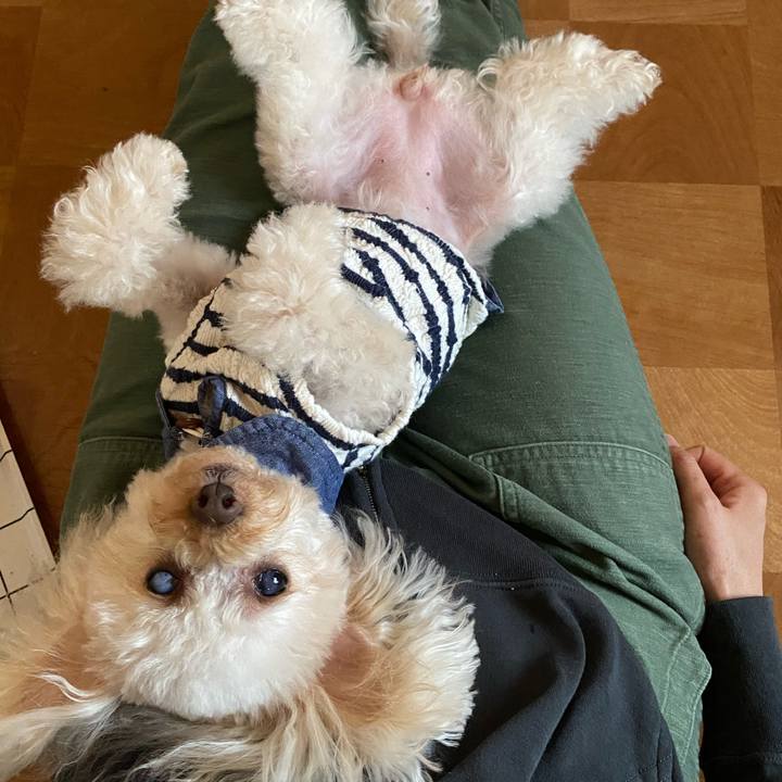 0b0e6d52 9e9d 4306 8e4b 5a8b51ad1d51 1618711470513