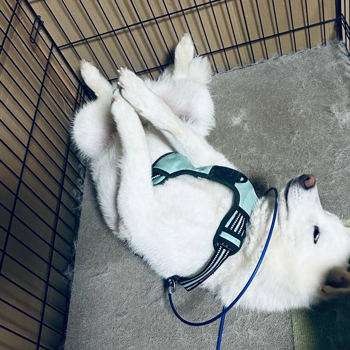 0b0e80b5 d7a6 4549 9d47 9aca03e37a69 1690101342999