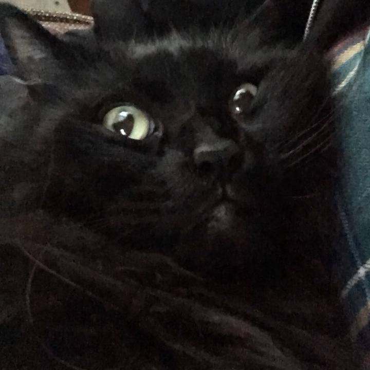 0b0ea851 f9f9 496d 8b33 dbaa2504818f 1543399954180