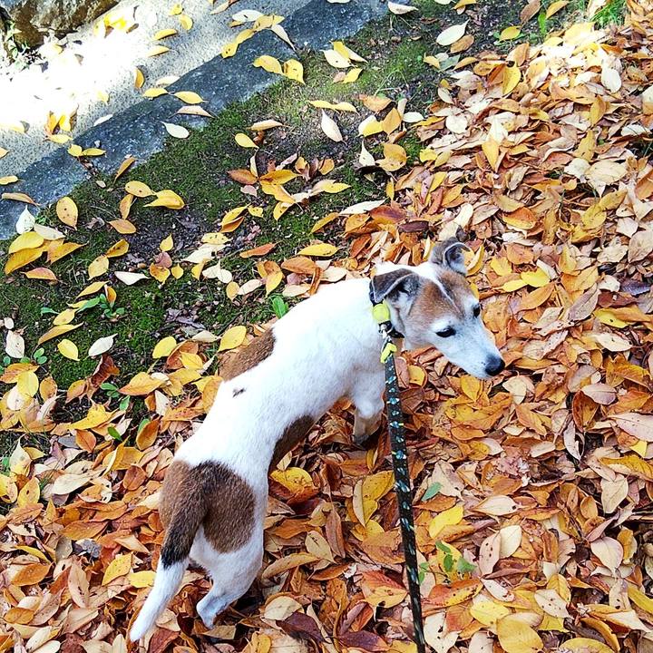 0b0ea8fe 60e9 4a74 97f4 2a03e0c69cb0 1574484848801