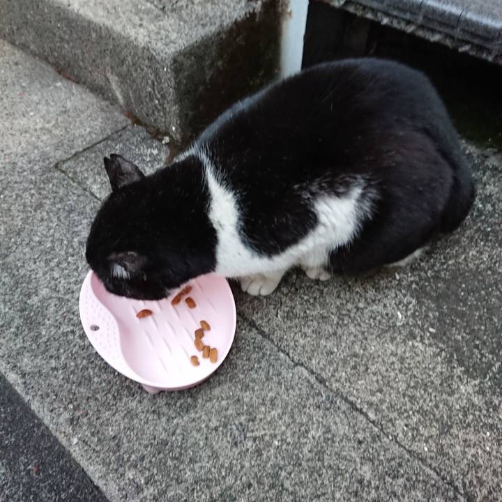 0b0f23a9 6a9c 4e81 840c 512ef726d34a 1677574148706