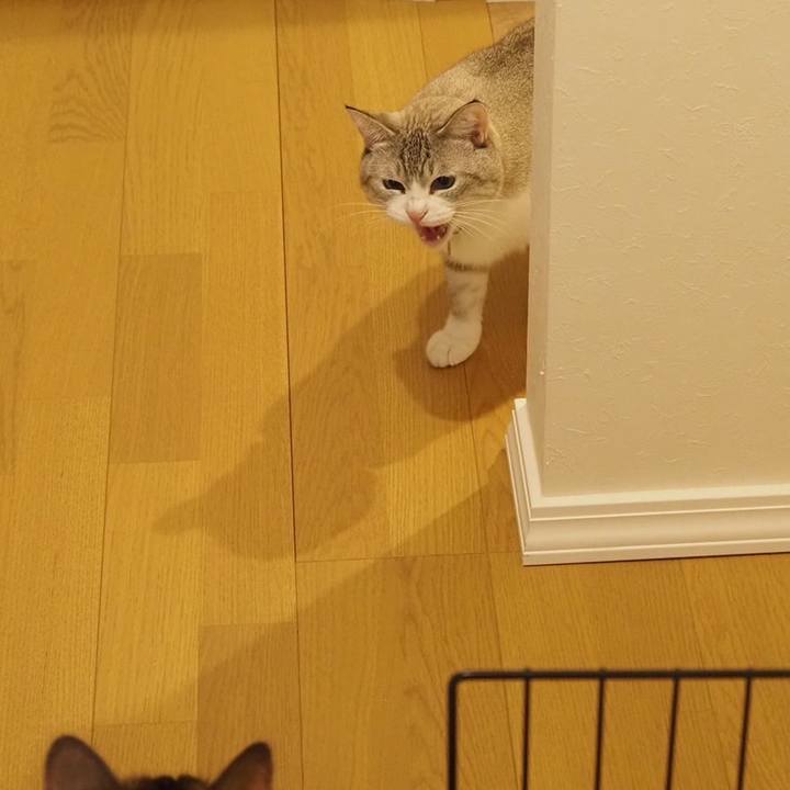 0b0f373d 4499 4190 9368 de2387f053bf 1669088539942