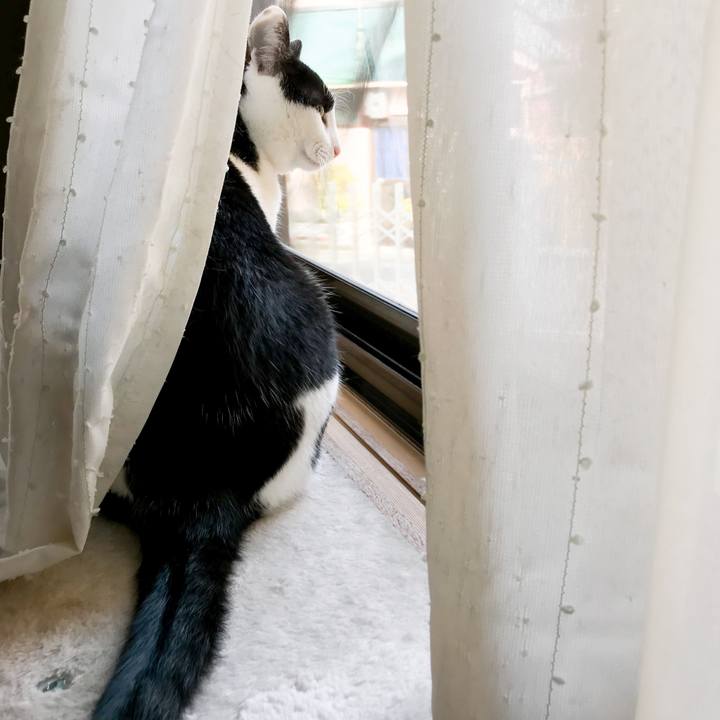 0b0f44f0 8a18 4a89 8bf6 e04b77c03c18 1523065880835