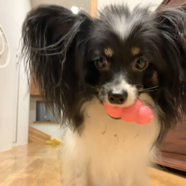 0b0f6661 8c6e 4369 913a b115b341fb33 1540299089402