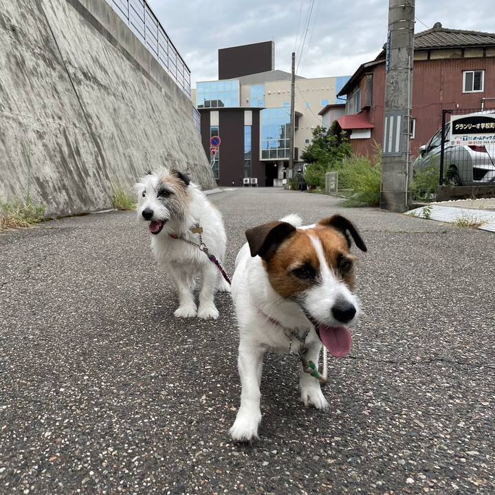 0b0f7d04 ecab 49f0 9b56 dc36b68ad439 1726611800179