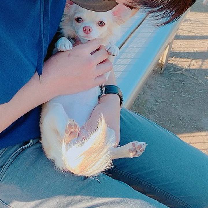 0b0f9cc9 7fb0 45ce 85b8 c0c3715b9192 1604126836611