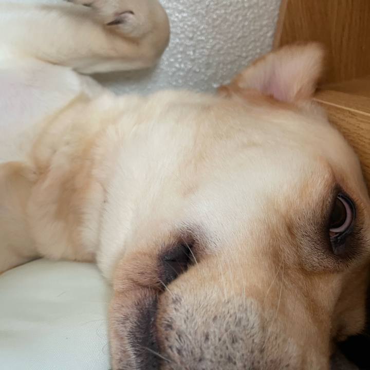 0b0fb113 24b0 4d8e a9b9 d103256d738a 1689419804752