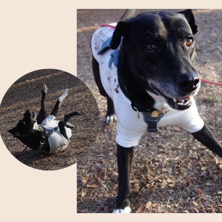 0b0fc7fc 1646 4355 93b9 926d91a63ab3 1705105862321