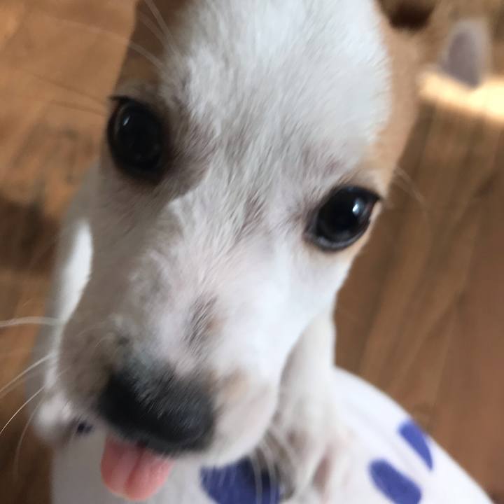 0b0fd15e d5b8 49e8 a4e9 3d475a6ade1d 1541983242722