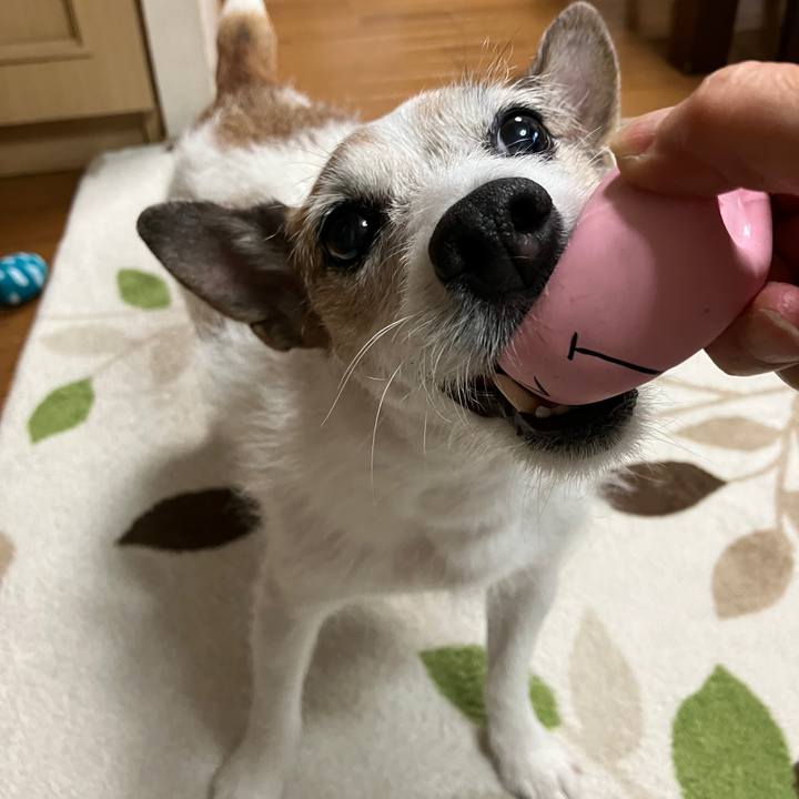 0b0fd297 8cad 4bae be35 7f49ffad619c 1721777145699