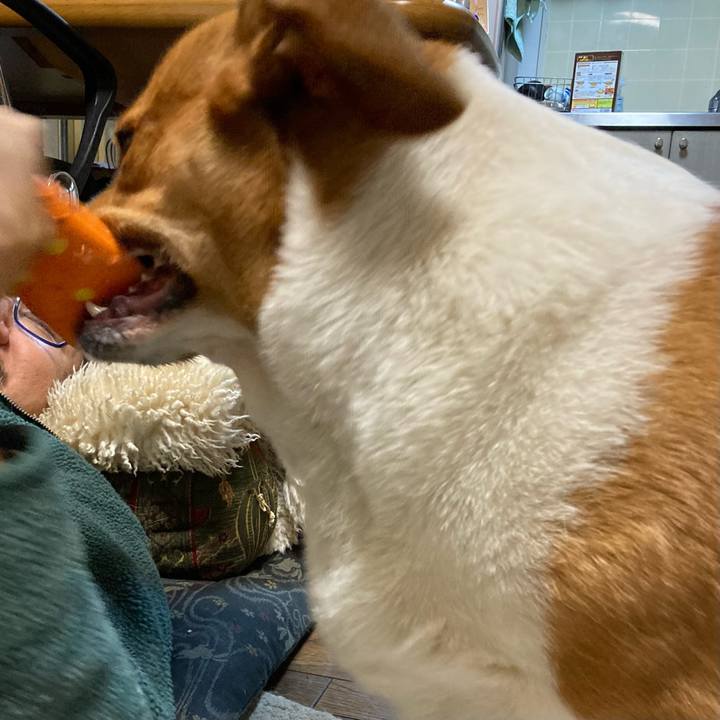 0b0fd9db d676 407b 80b0 7de1b342c31c 1670325644449