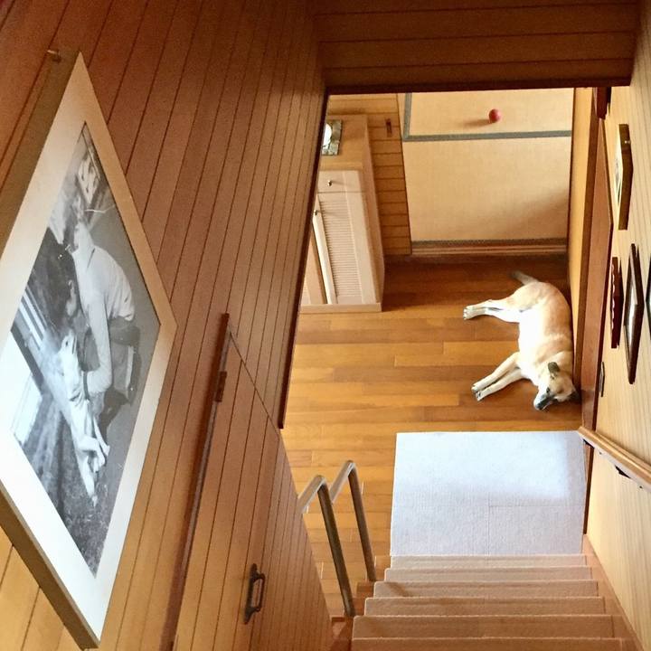 0b0fd9df fc64 480b bbf6 5e233b5ad514 1532390314870