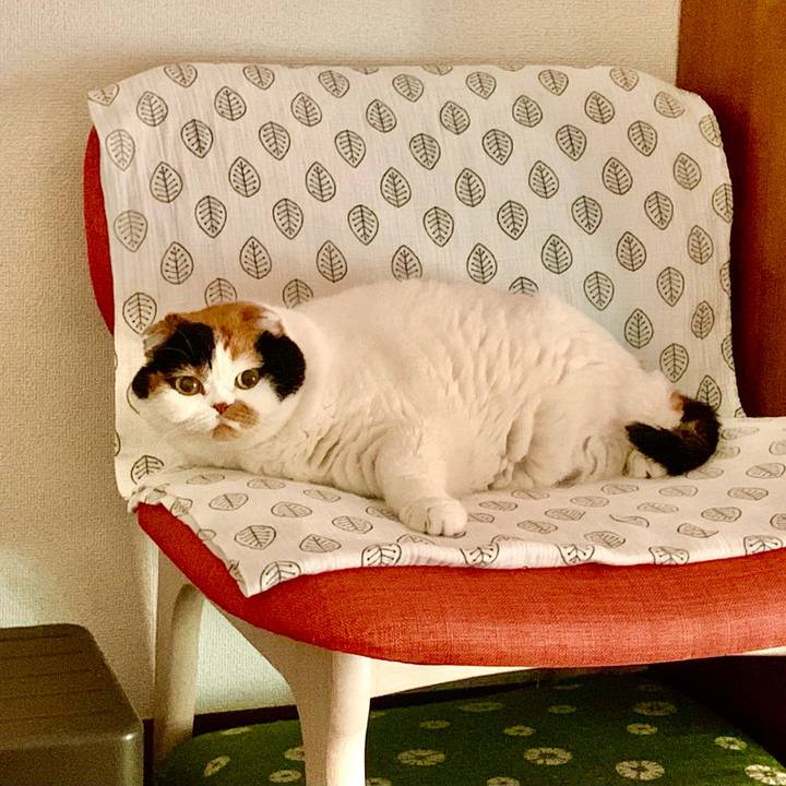 0b103e1a c8c8 4280 ad8e 84512c980688 1602035387665