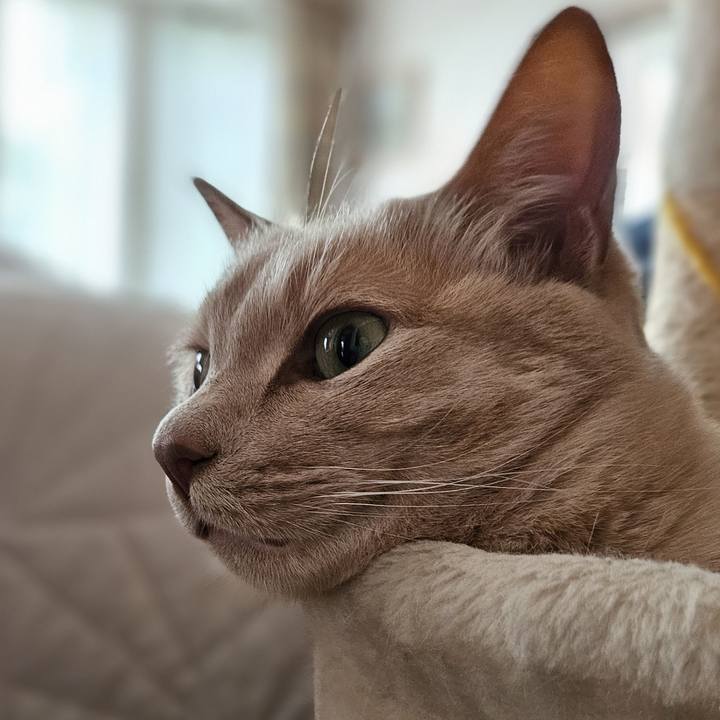 0b107d52 a793 4d2f bbaa 3c4d47fb4782 1717486481002