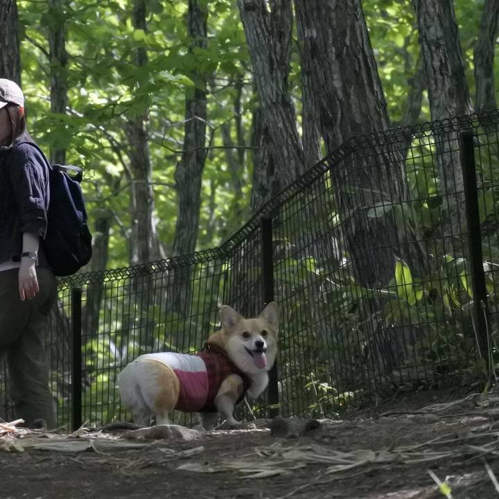 0b108db8 11b3 4900 a6ac 38503636c21f 1558784404304