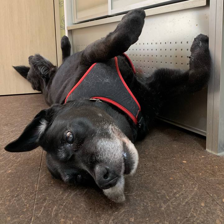 0b10b8e1 ba0a 4f91 8a63 dbdb6a4f5c1a 1590041290309